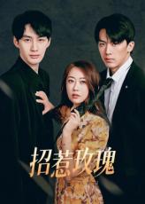 招惹玫瑰(全集)